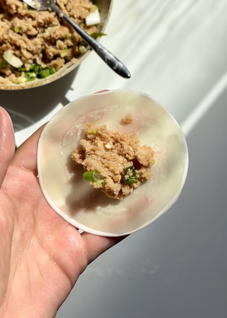 Dumpling filling