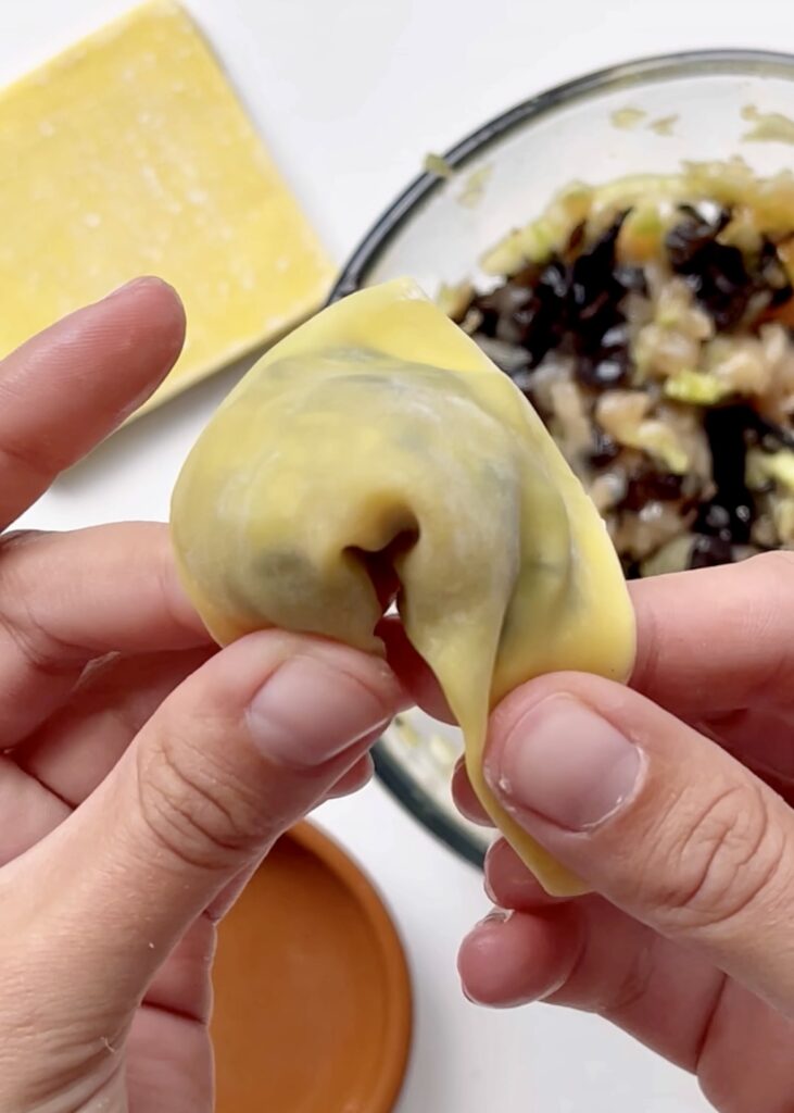 Black fungus wontons