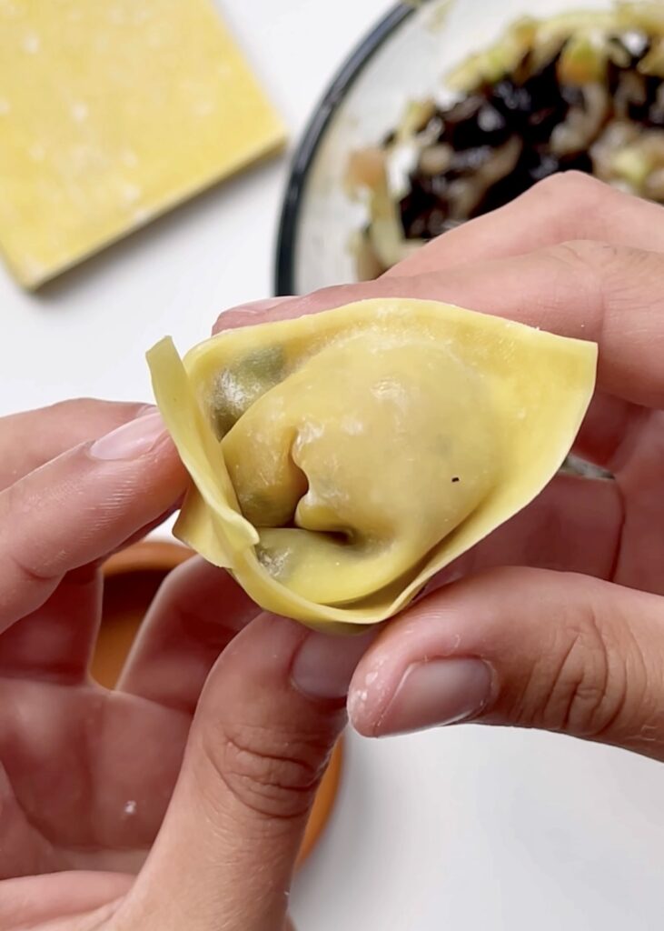 Black fungus wontons