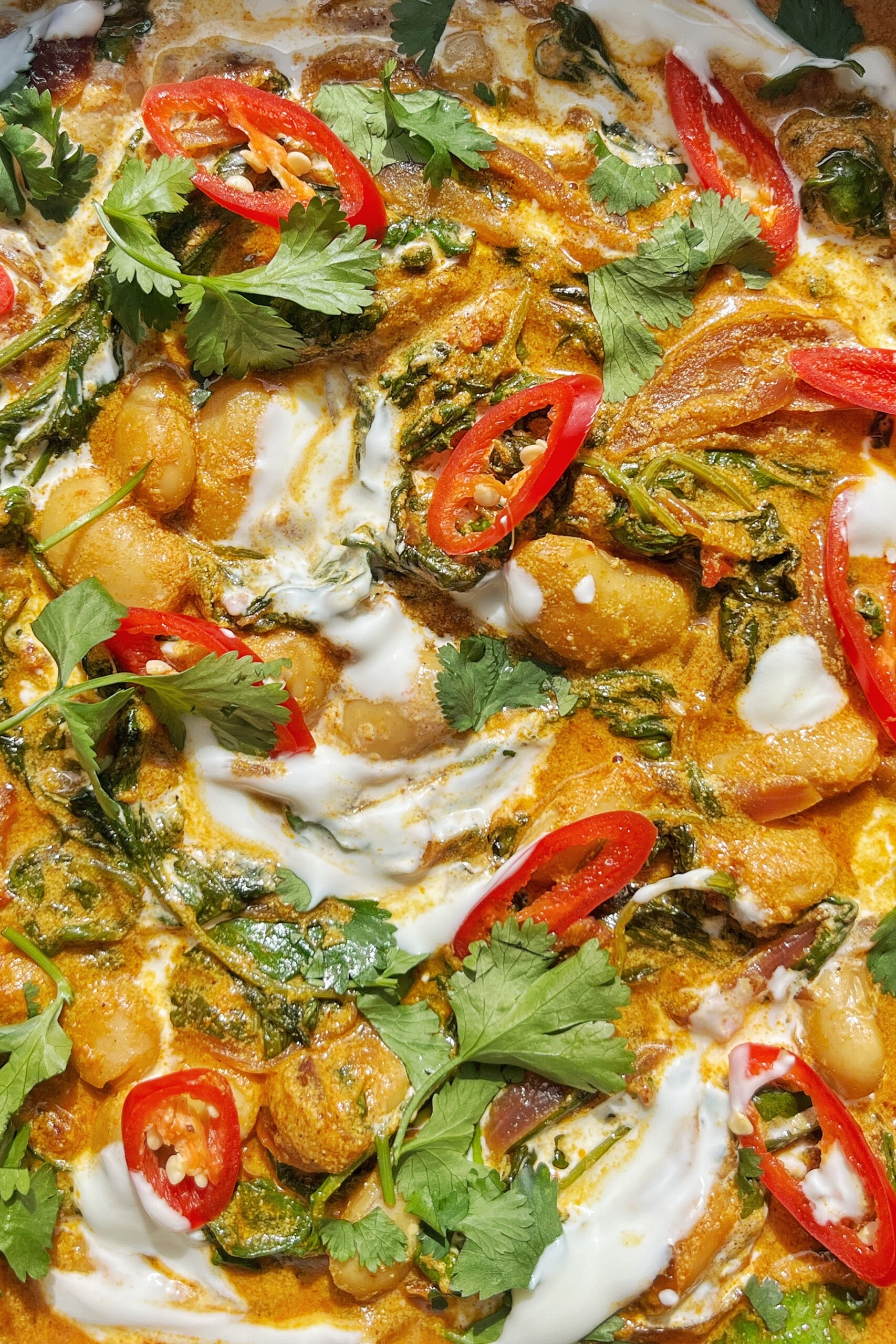 close up photo of a colourful bean and spinach curry.