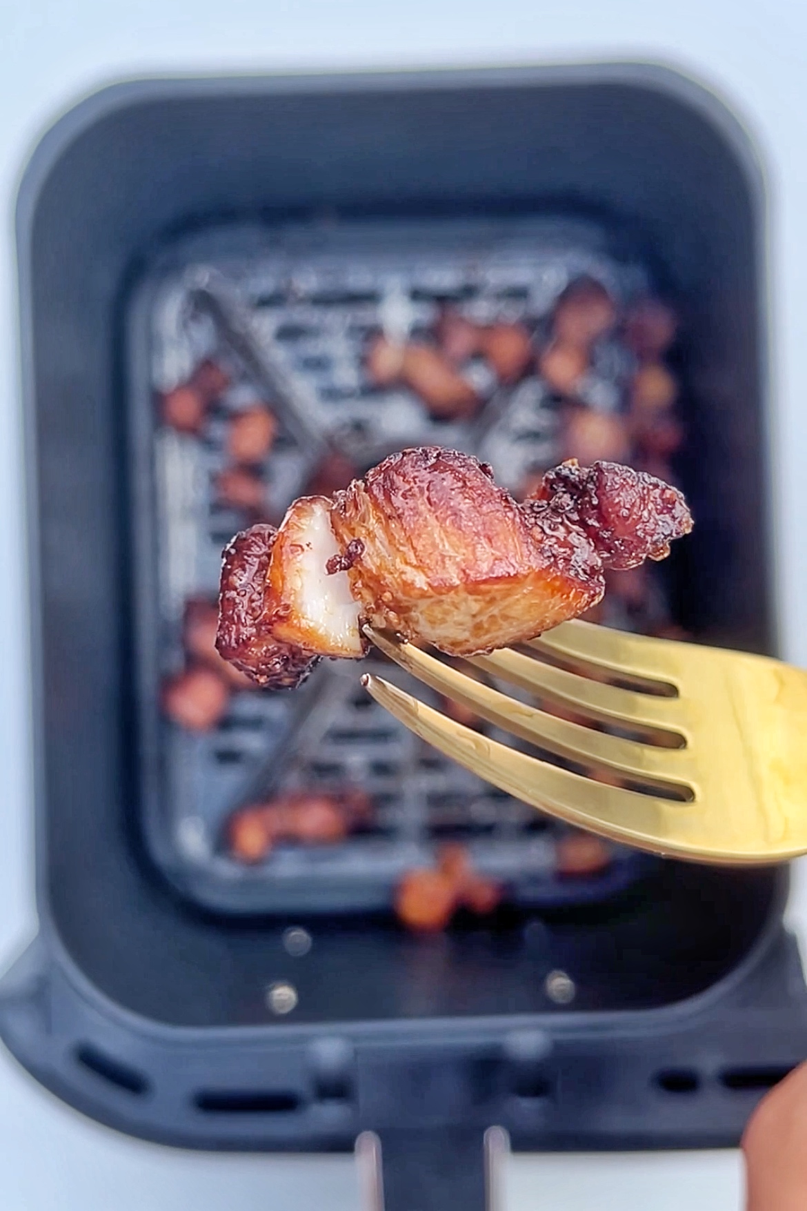 Pork Belly Fried Rice in air fryer