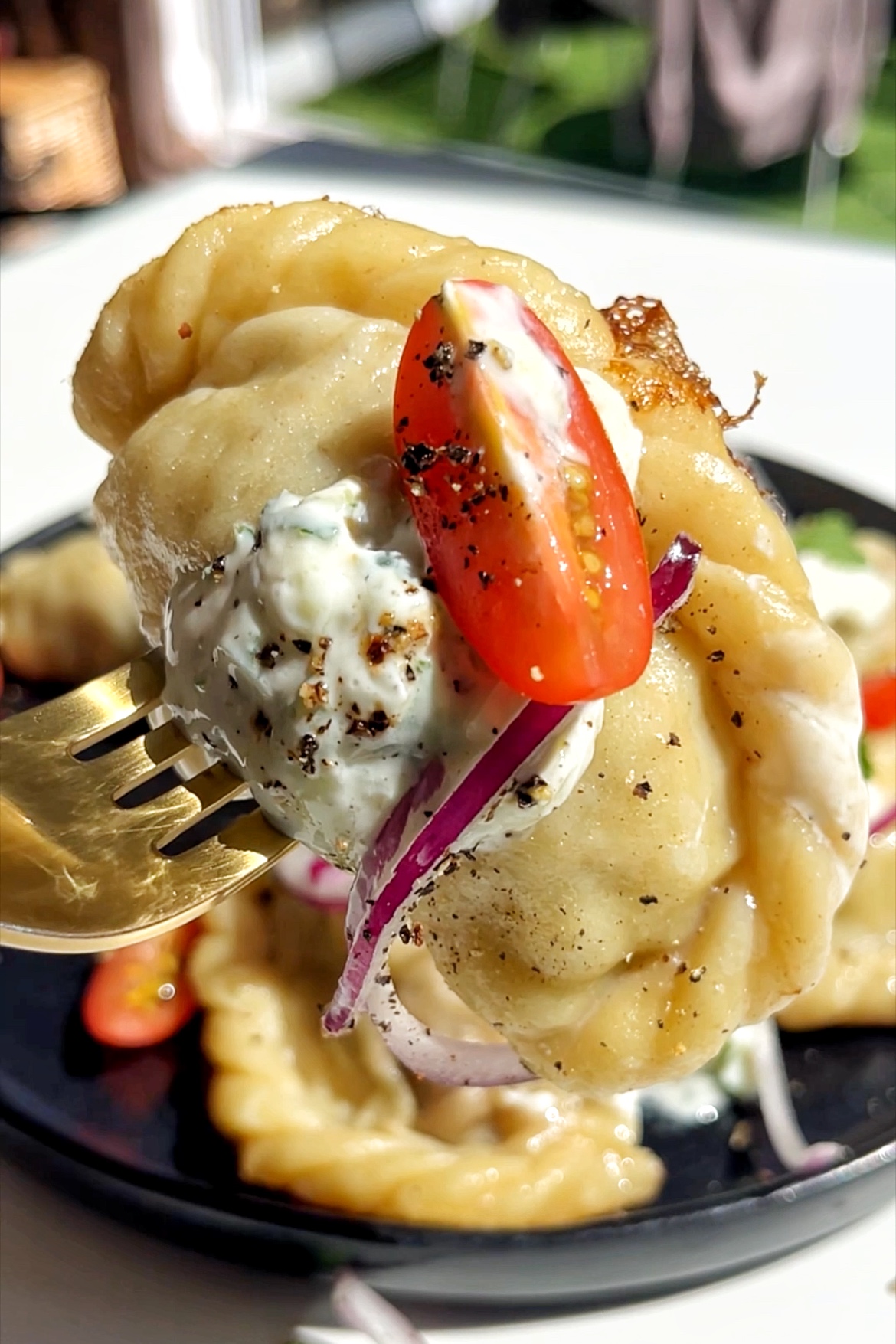 Close up of dumpling.