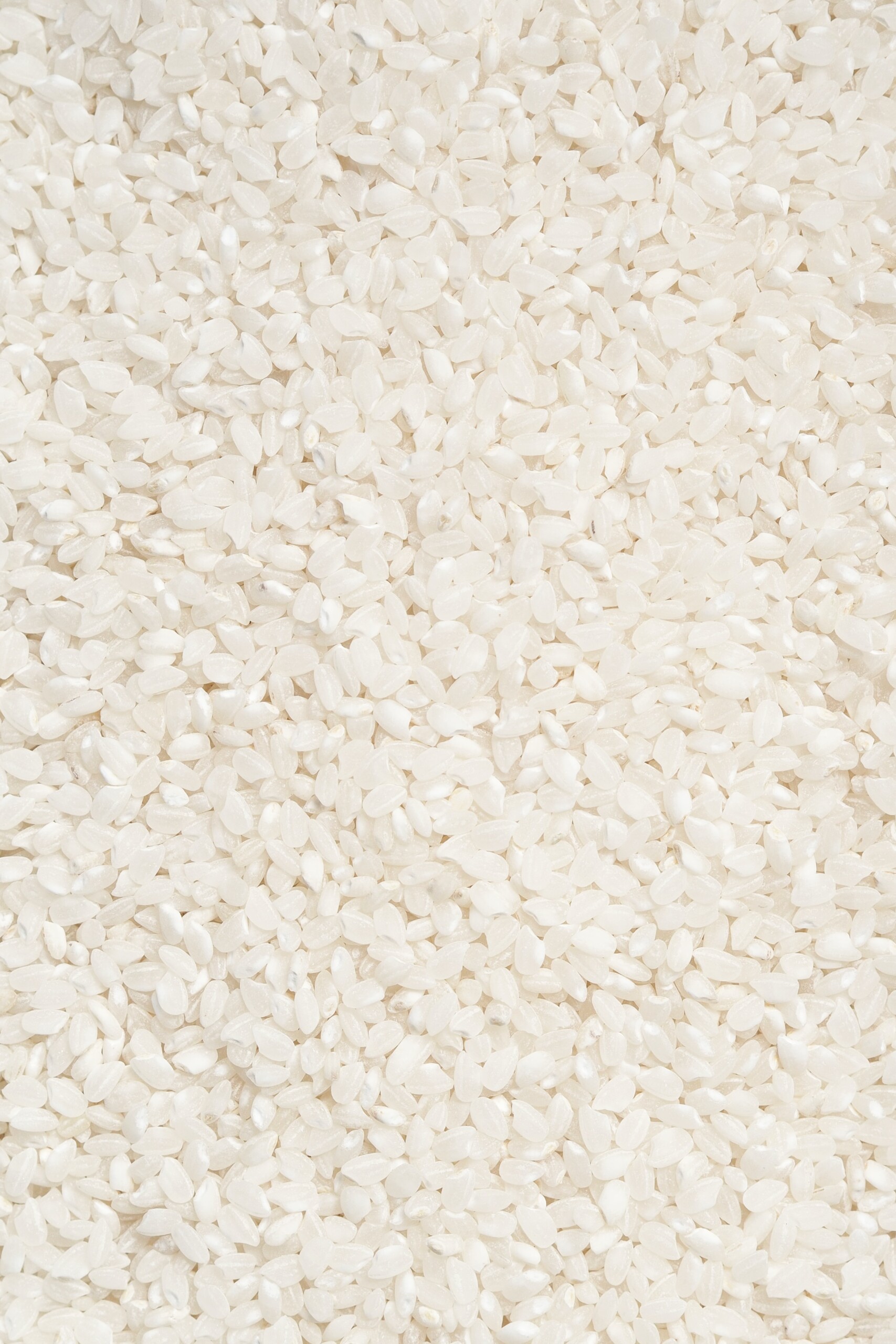 Arborio rice.