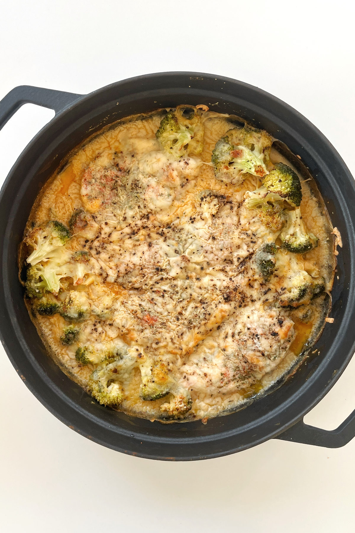 Black oven dish with a creamy cheesy chicken bake inside.