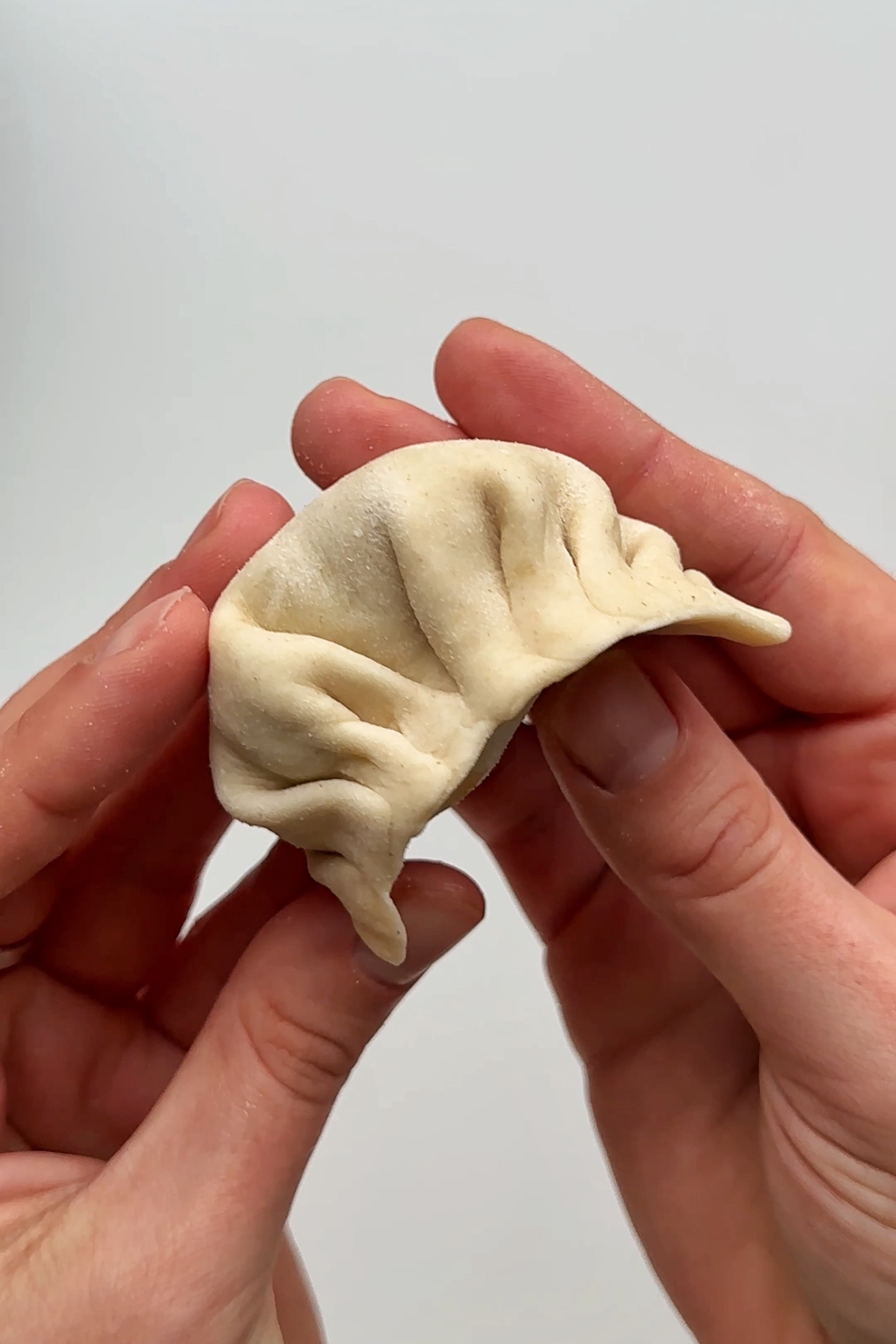 Folded dumpling.