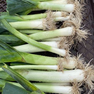 Bunch of leeks.