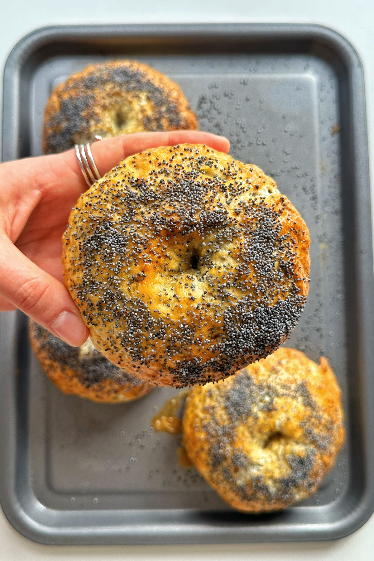Hand holding up a poppy seed bagel. 