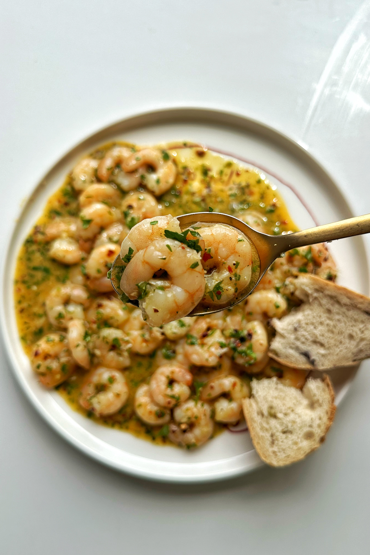 Close up of shrimp scampi without wine.