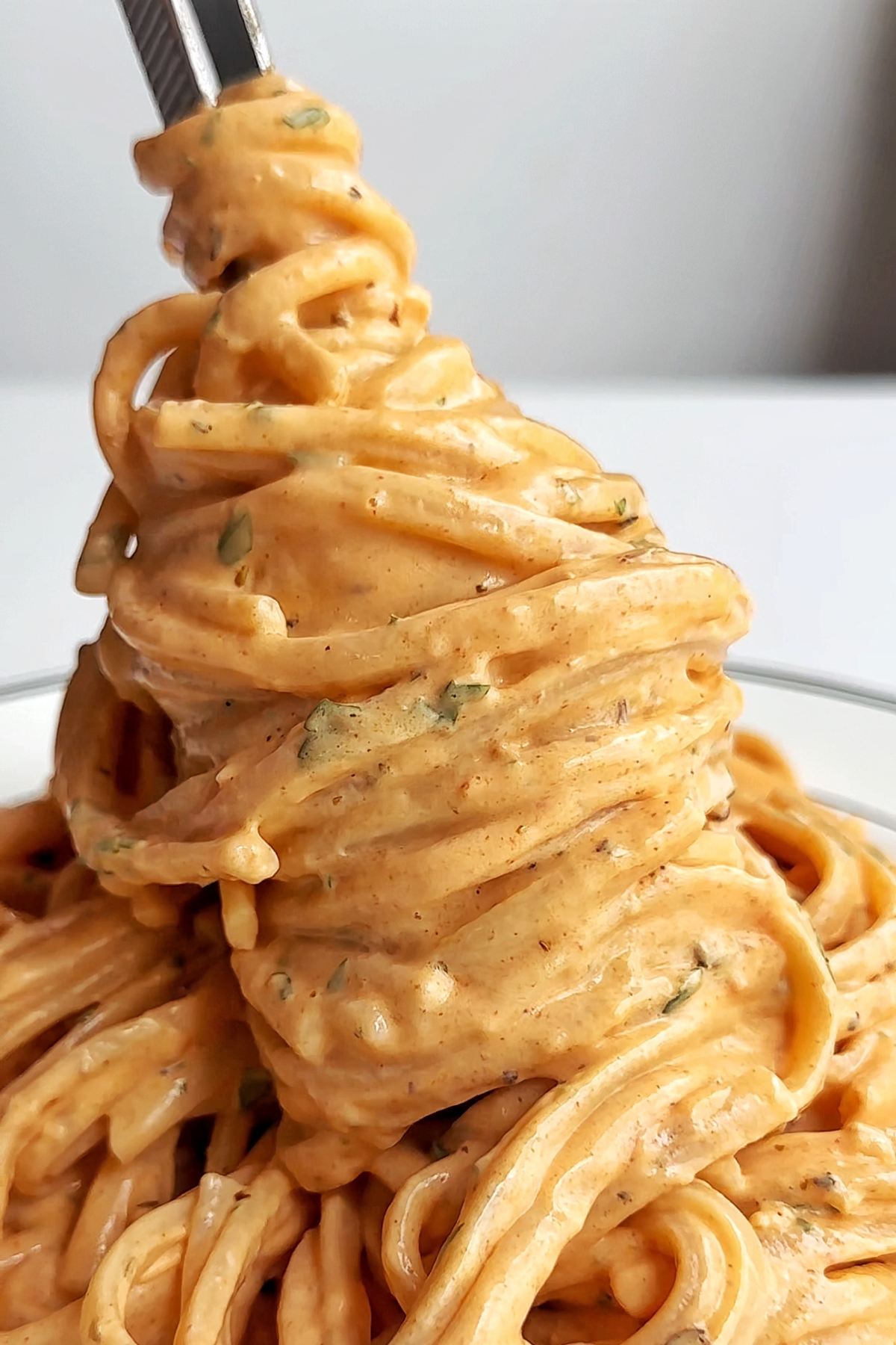 Spicy alfredo pasta with linguine.