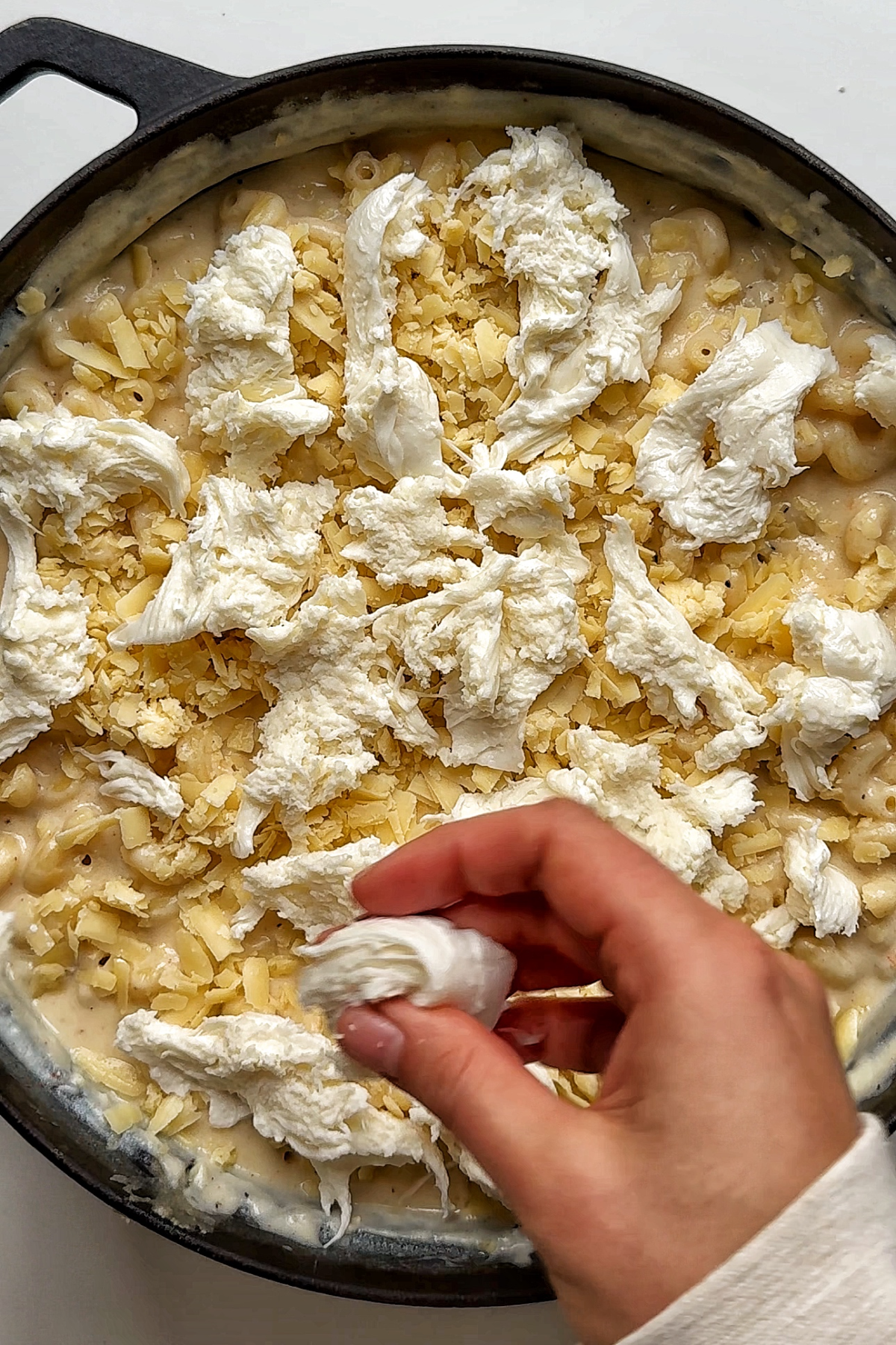 Baking the macaroni and cheese in the oven.