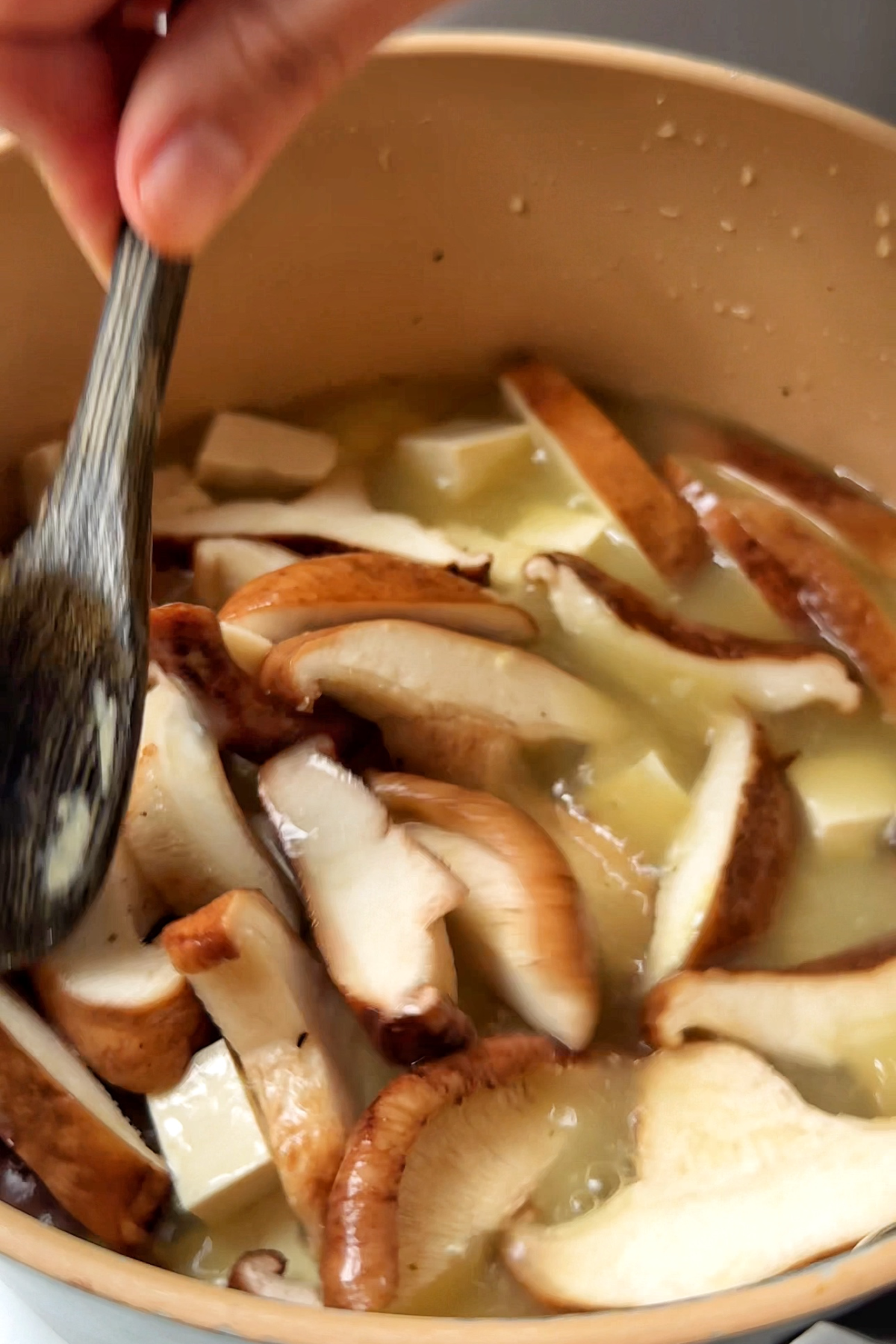 Adding mushrooms and tofu to the miso soup broth.