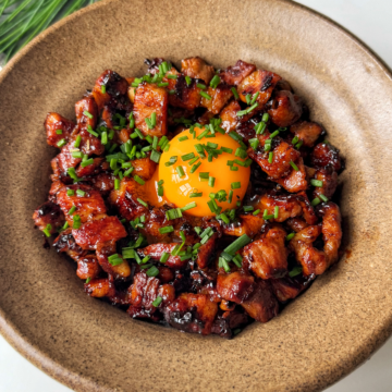Close up of Butadon, a Japanese pork and rice dish.