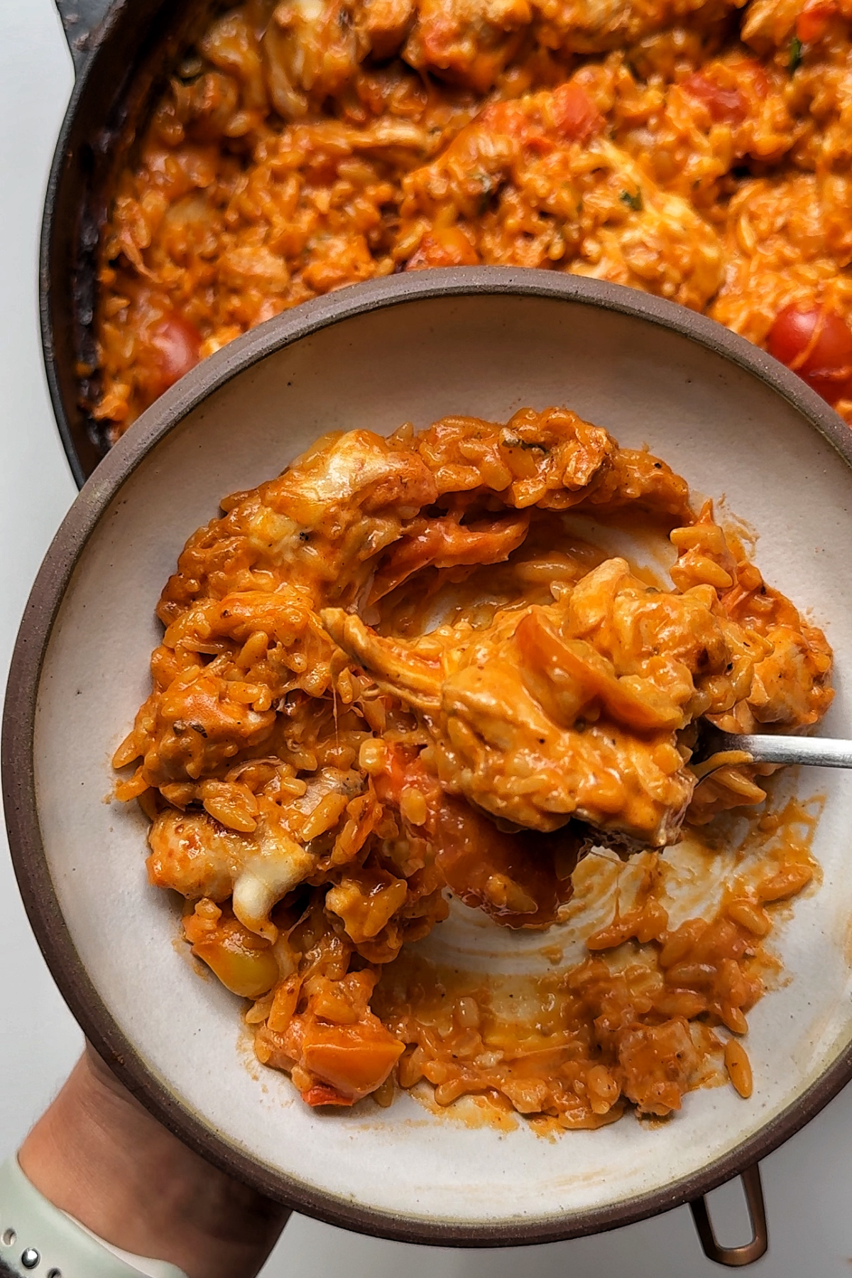 Creamy chicken orzo dish.