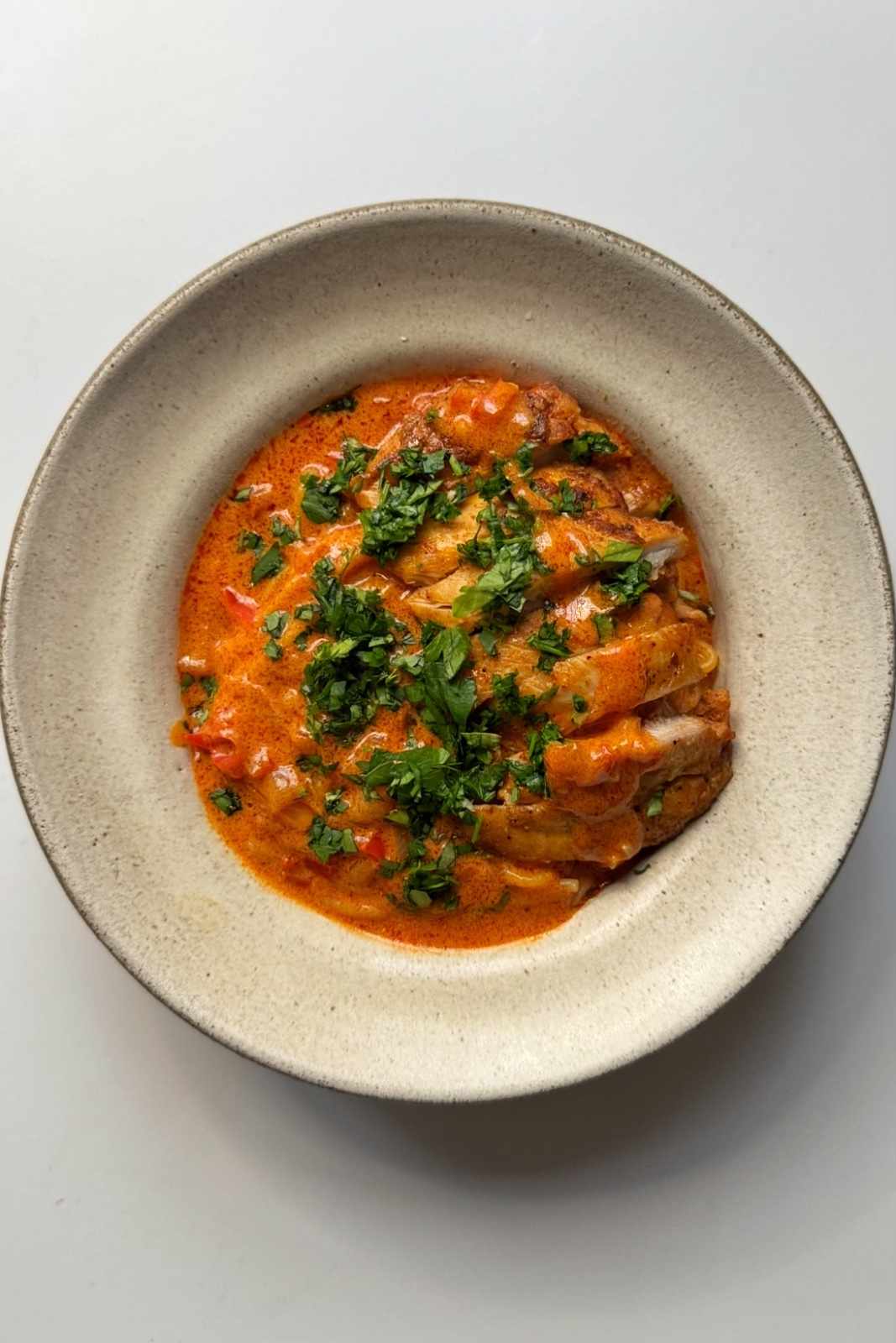 Chicken paprikash with noodles in bowl.