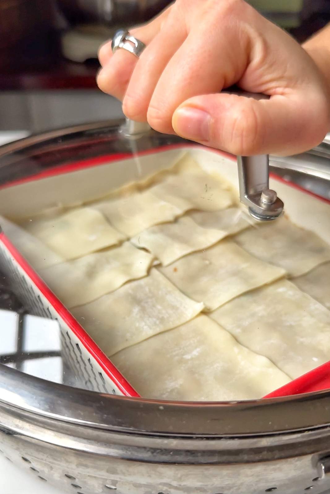 Steaming dumpling lasagna.