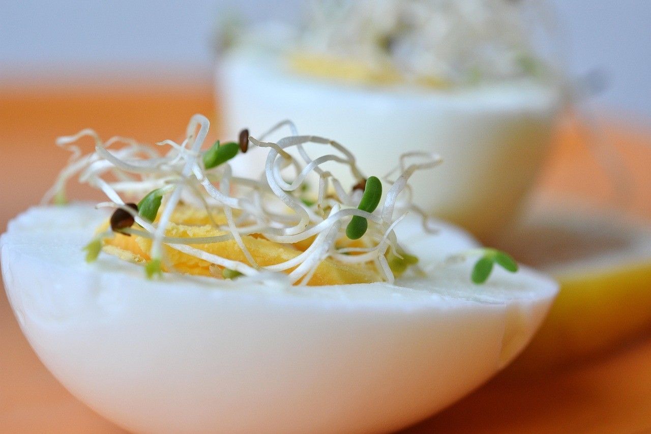 Alfalfa sprouts on top of a cut in half egg.